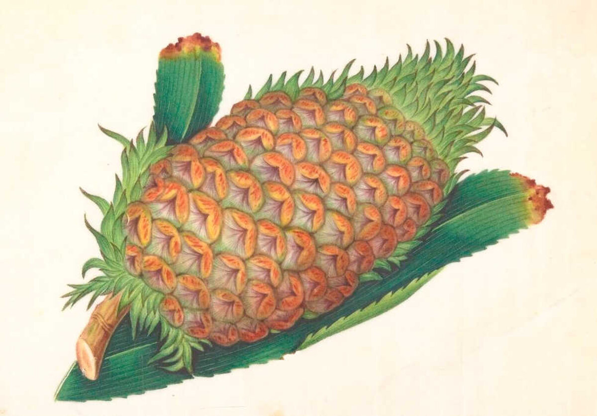 Illustration 1