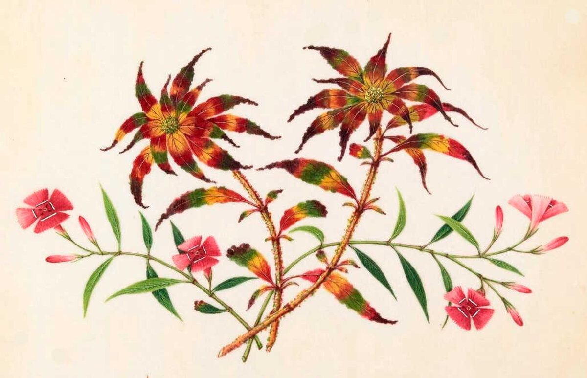 Illustration 1