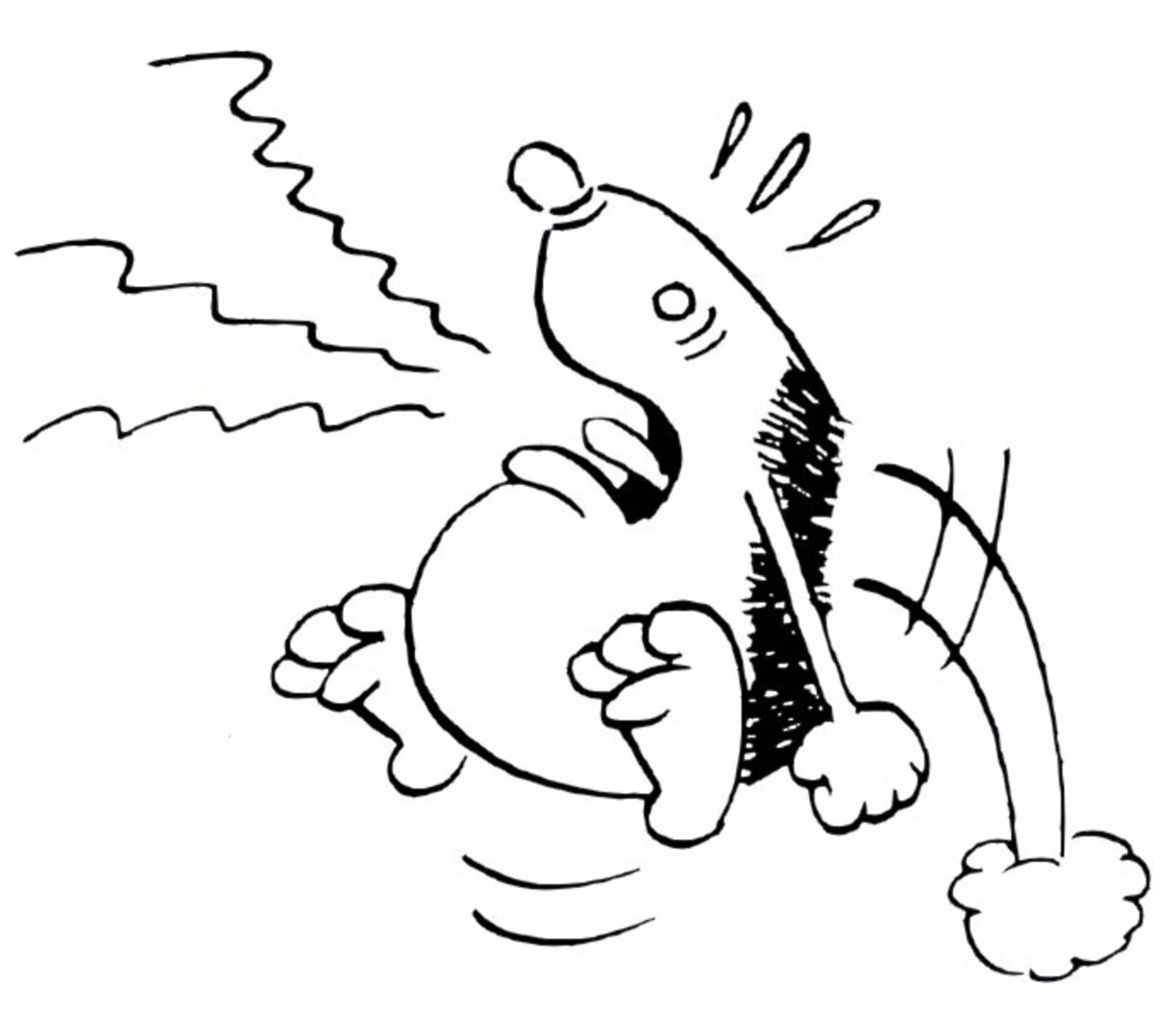 Illustration 1