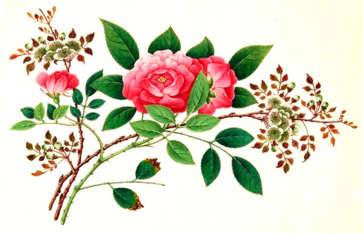 Illustration 1