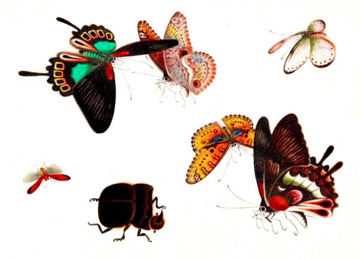 Illustration 1