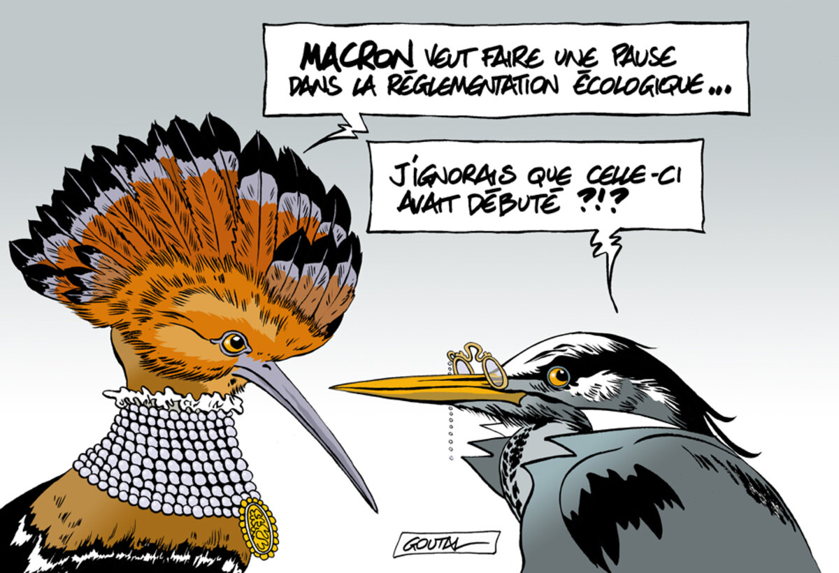 Illustration 1
