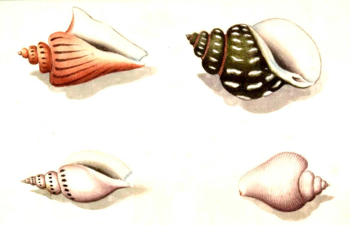 Illustration 1
