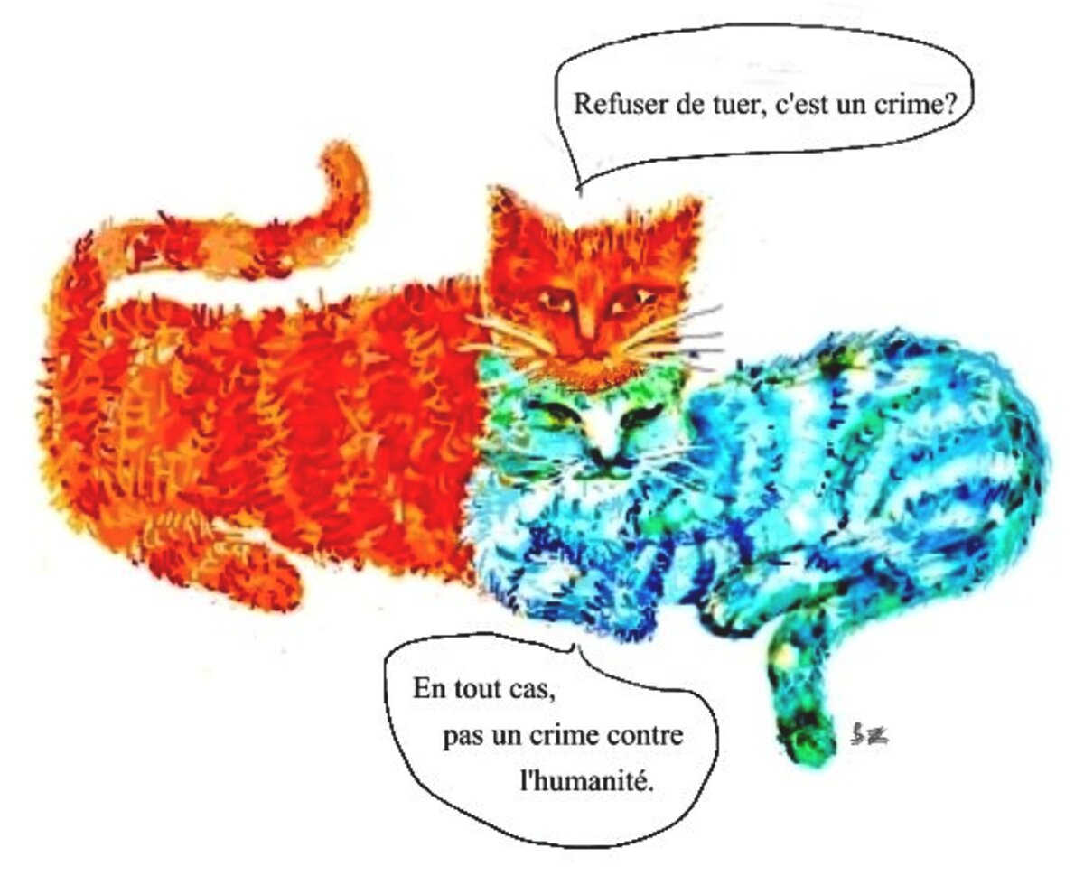 Illustration 1