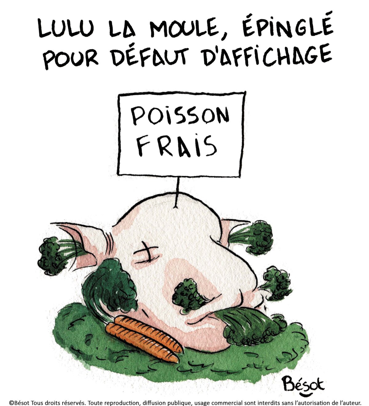 Illustration 1