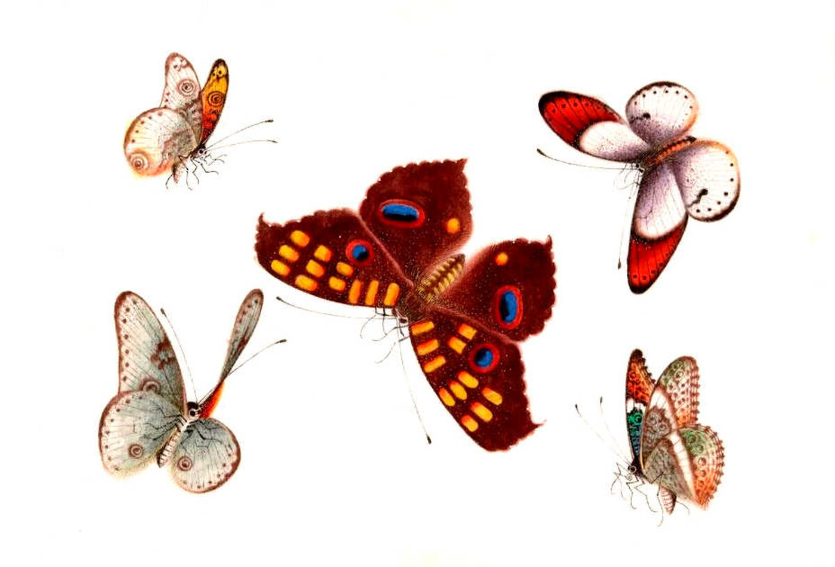 Illustration 1