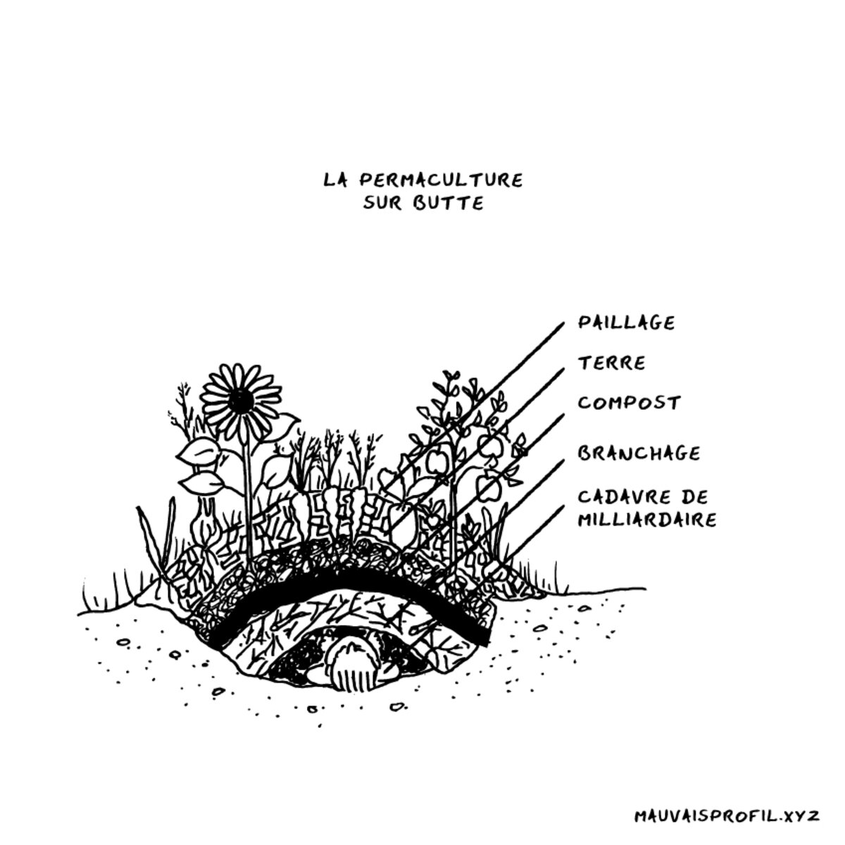 Illustration 1