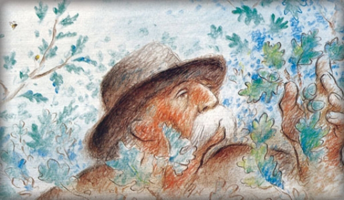 Illustration 1
