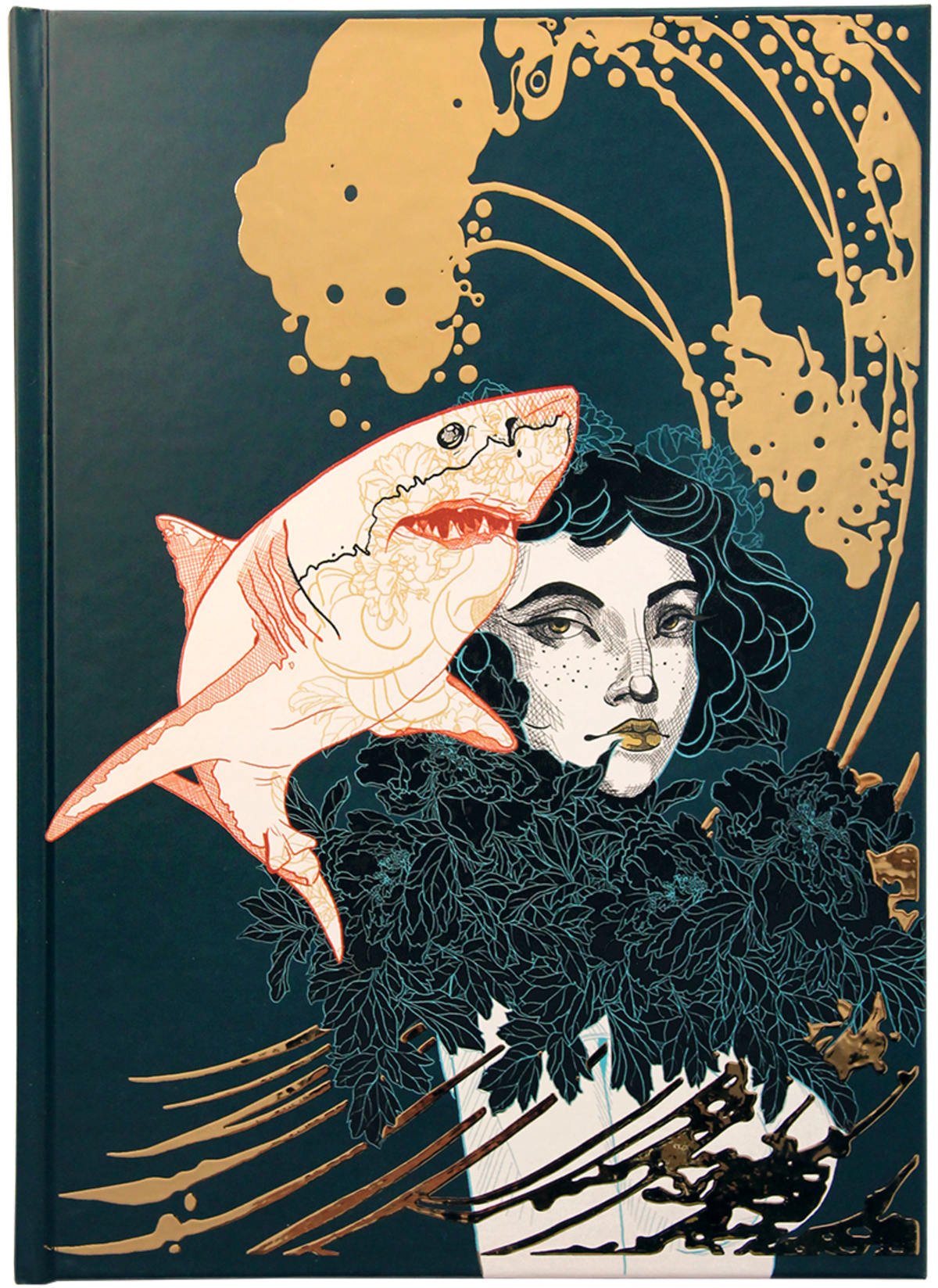 Illustration 1