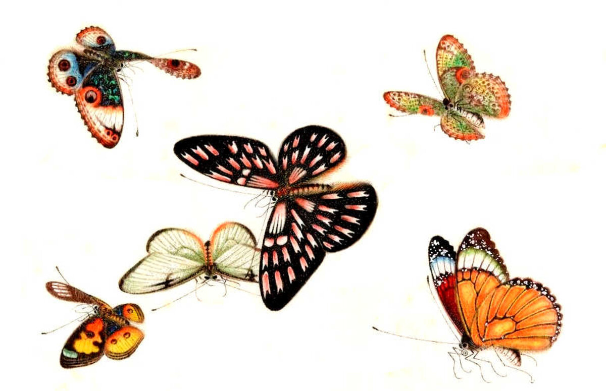 Illustration 1