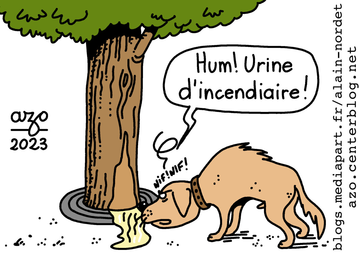 Illustration 1