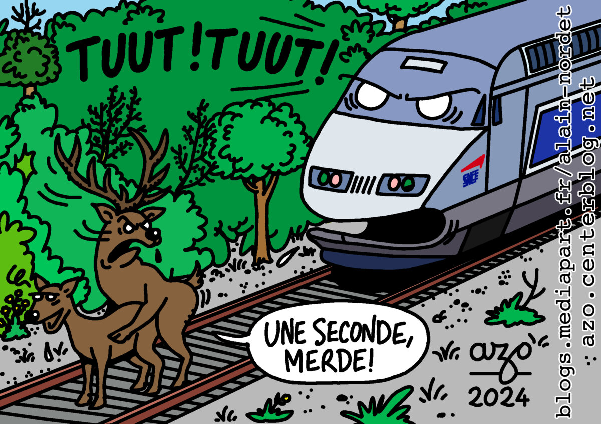 Illustration 1