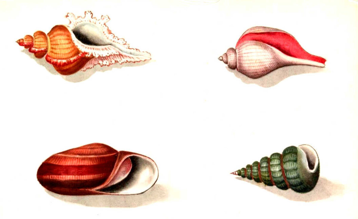 Illustration 1