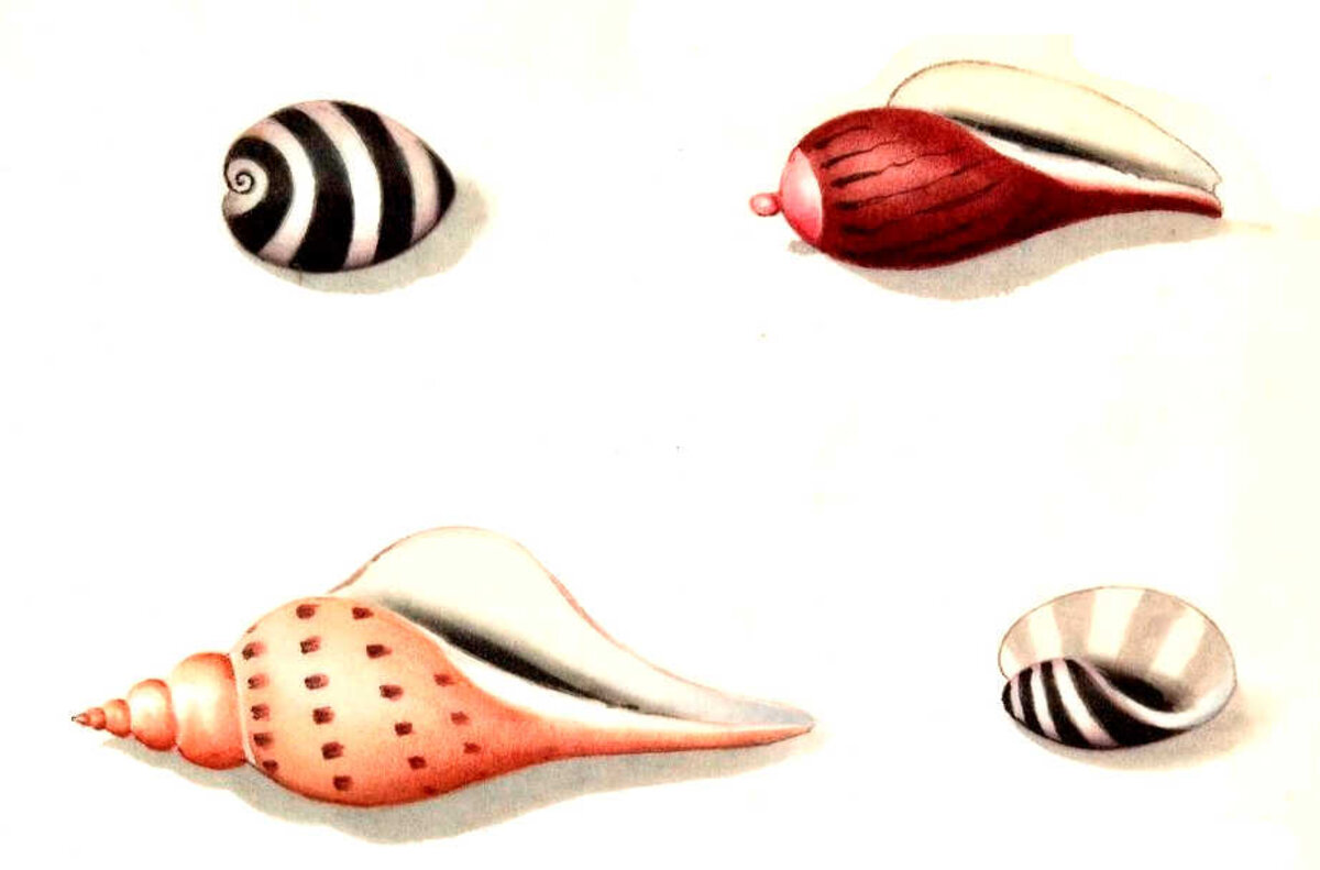 Illustration 1