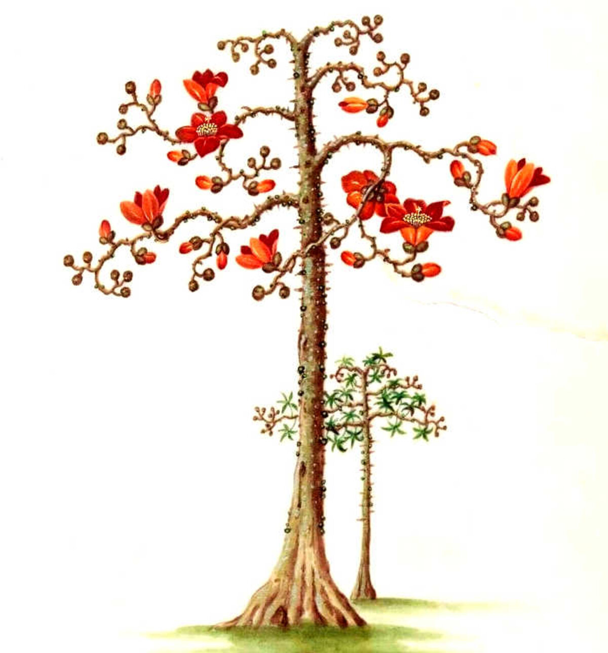Illustration 1
