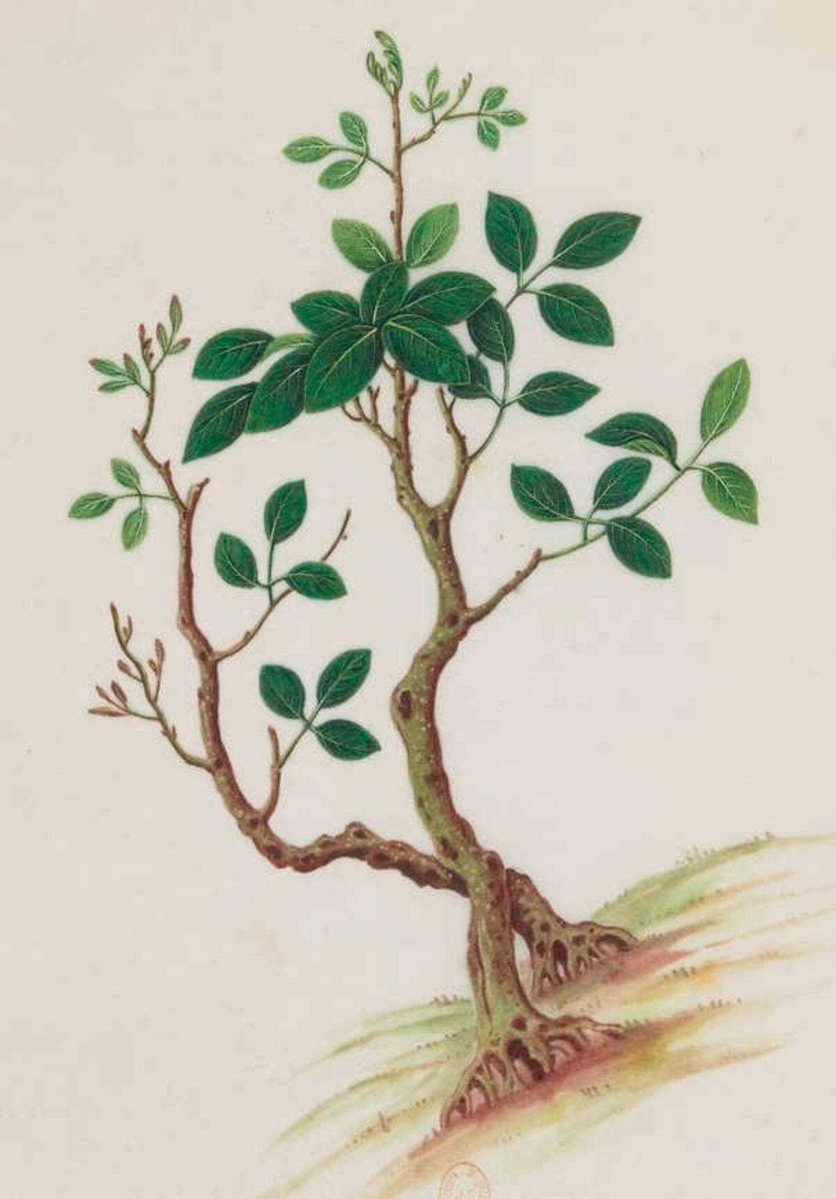 Illustration 1