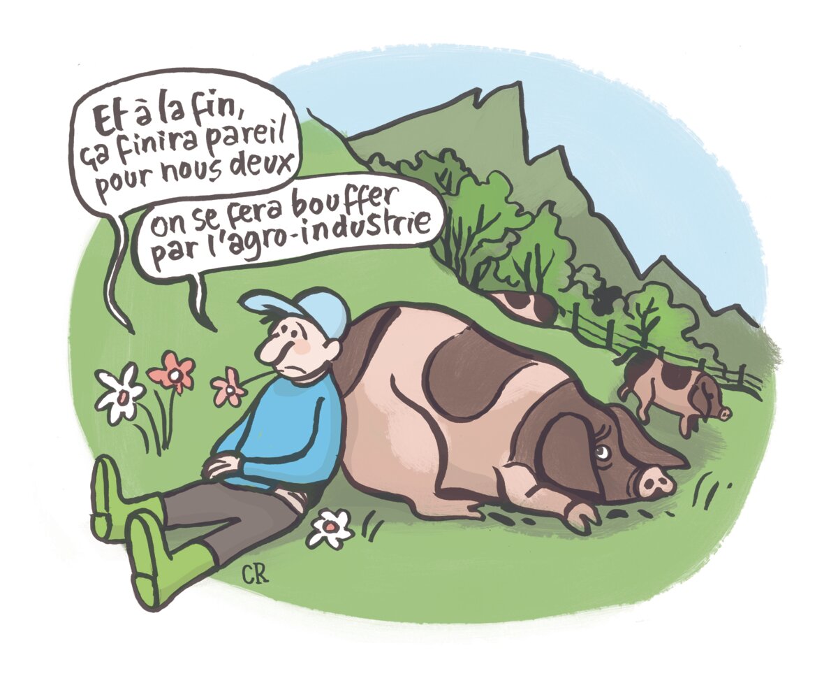 Illustration 1