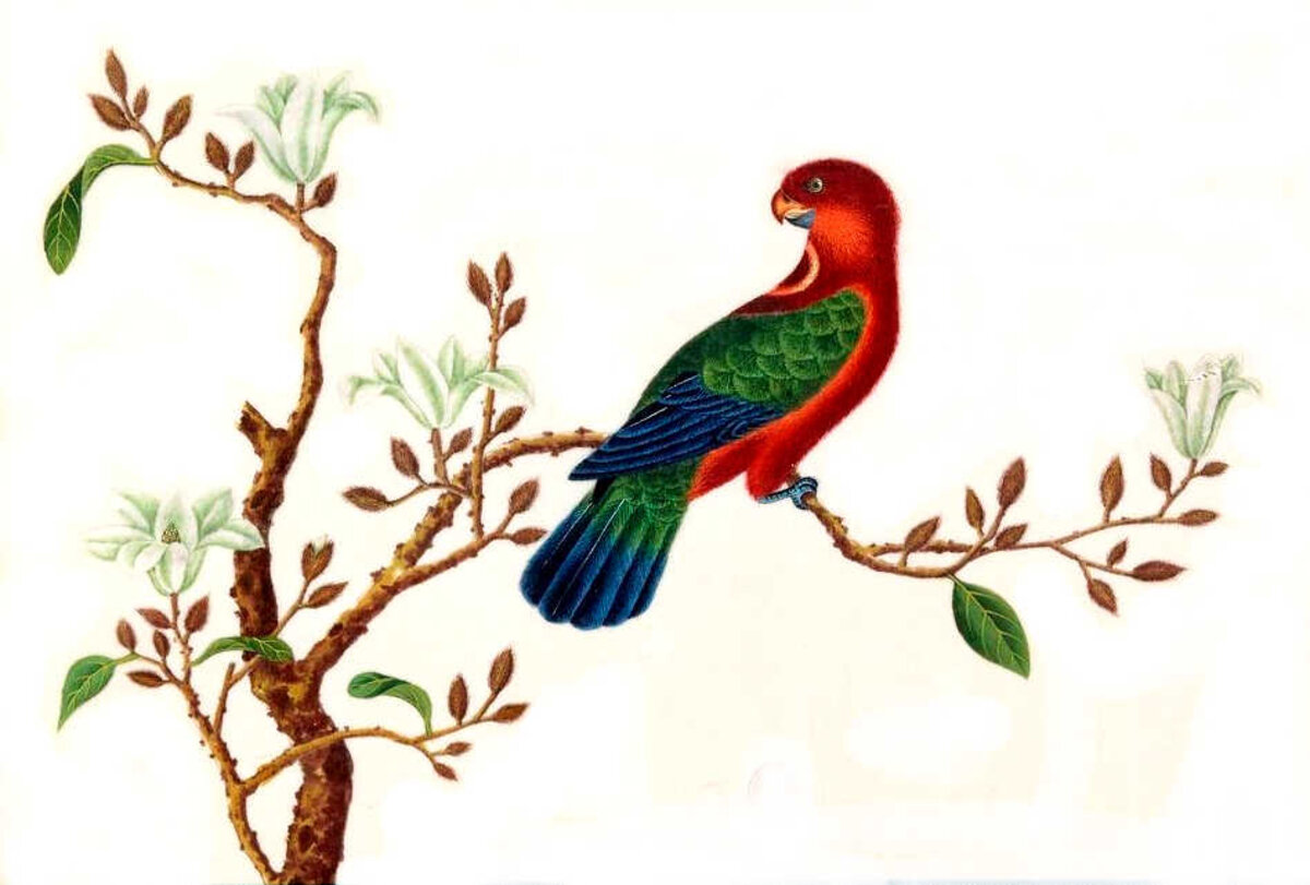 Illustration 1