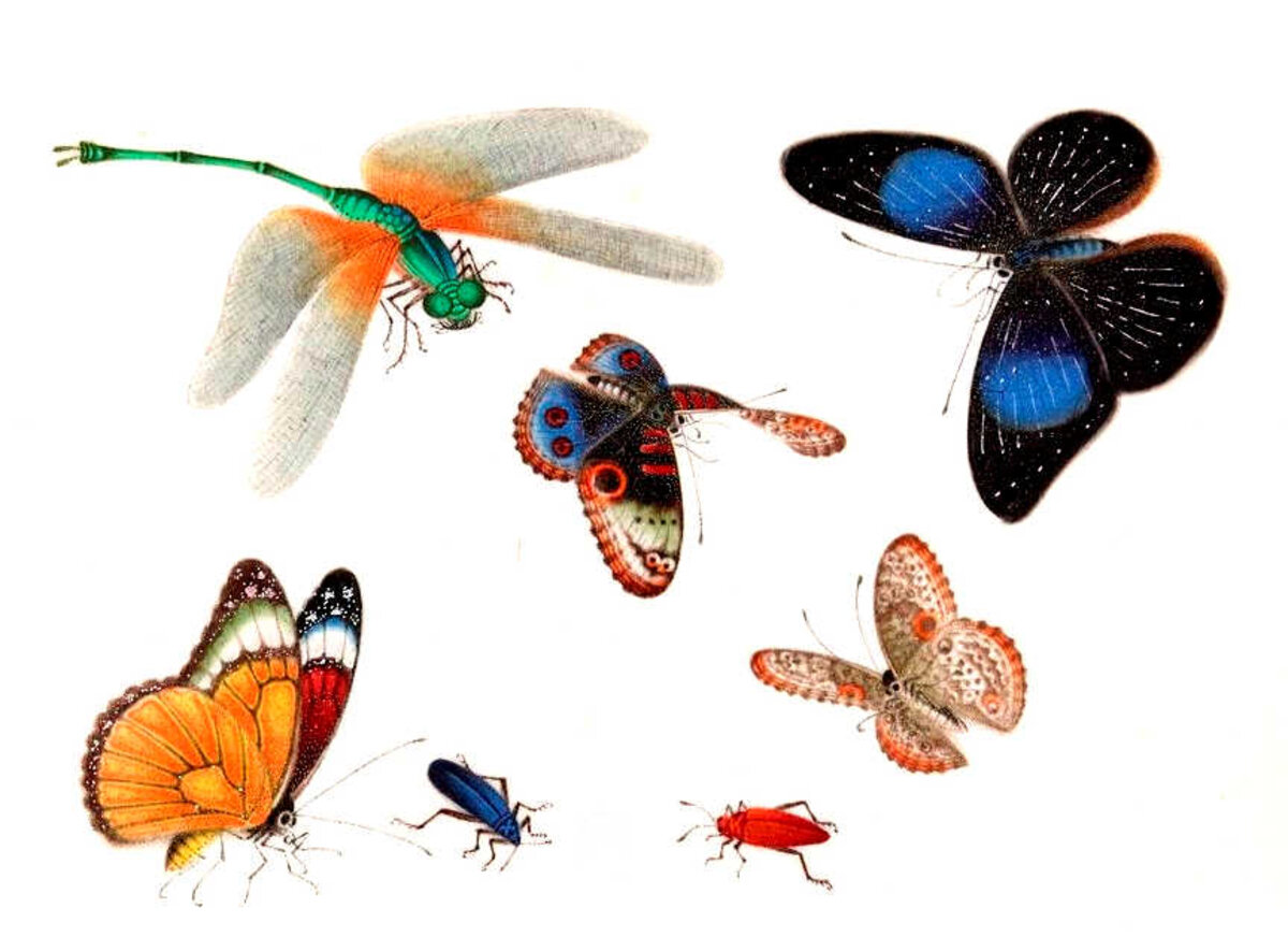 Illustration 1