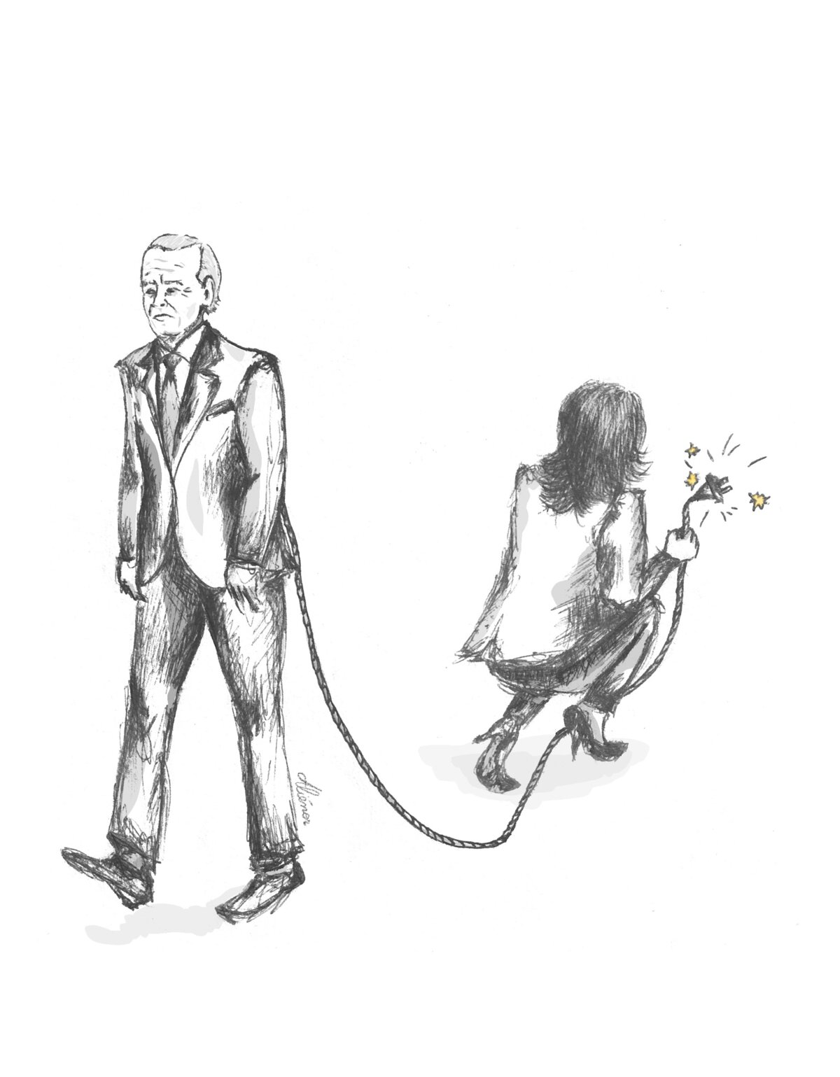 Illustration 1