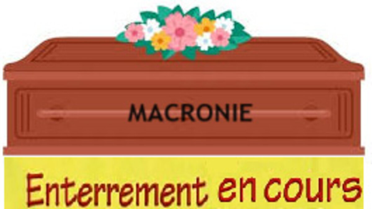 Illustration 1