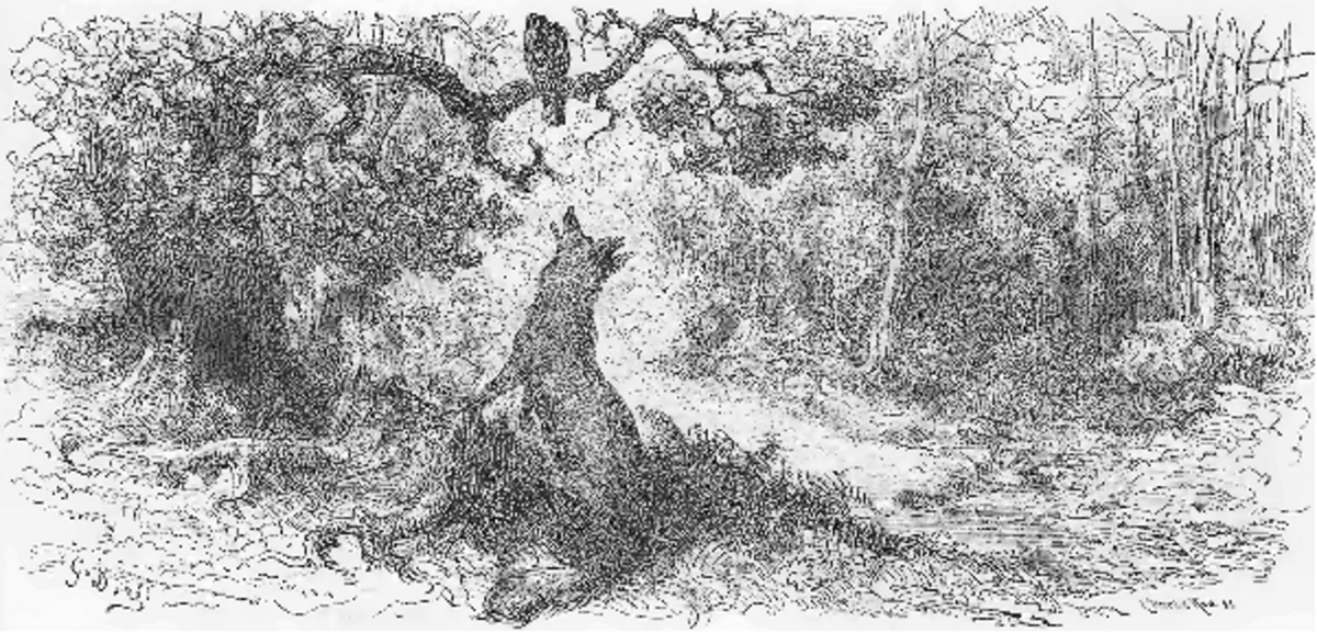 Illustration 1