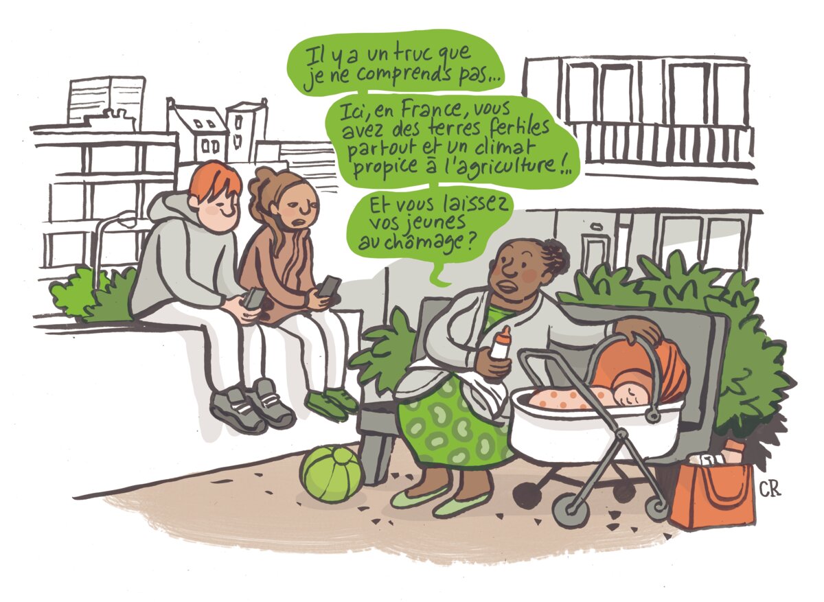 Illustration 1