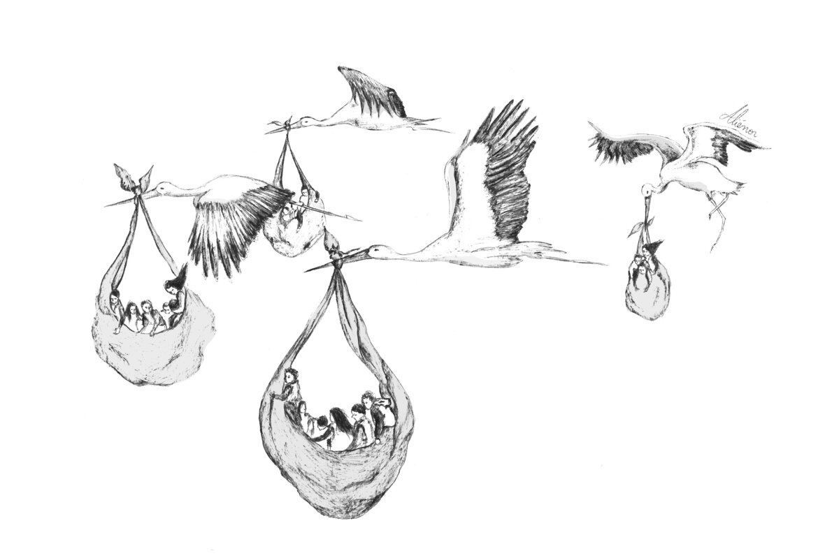 Illustration 1