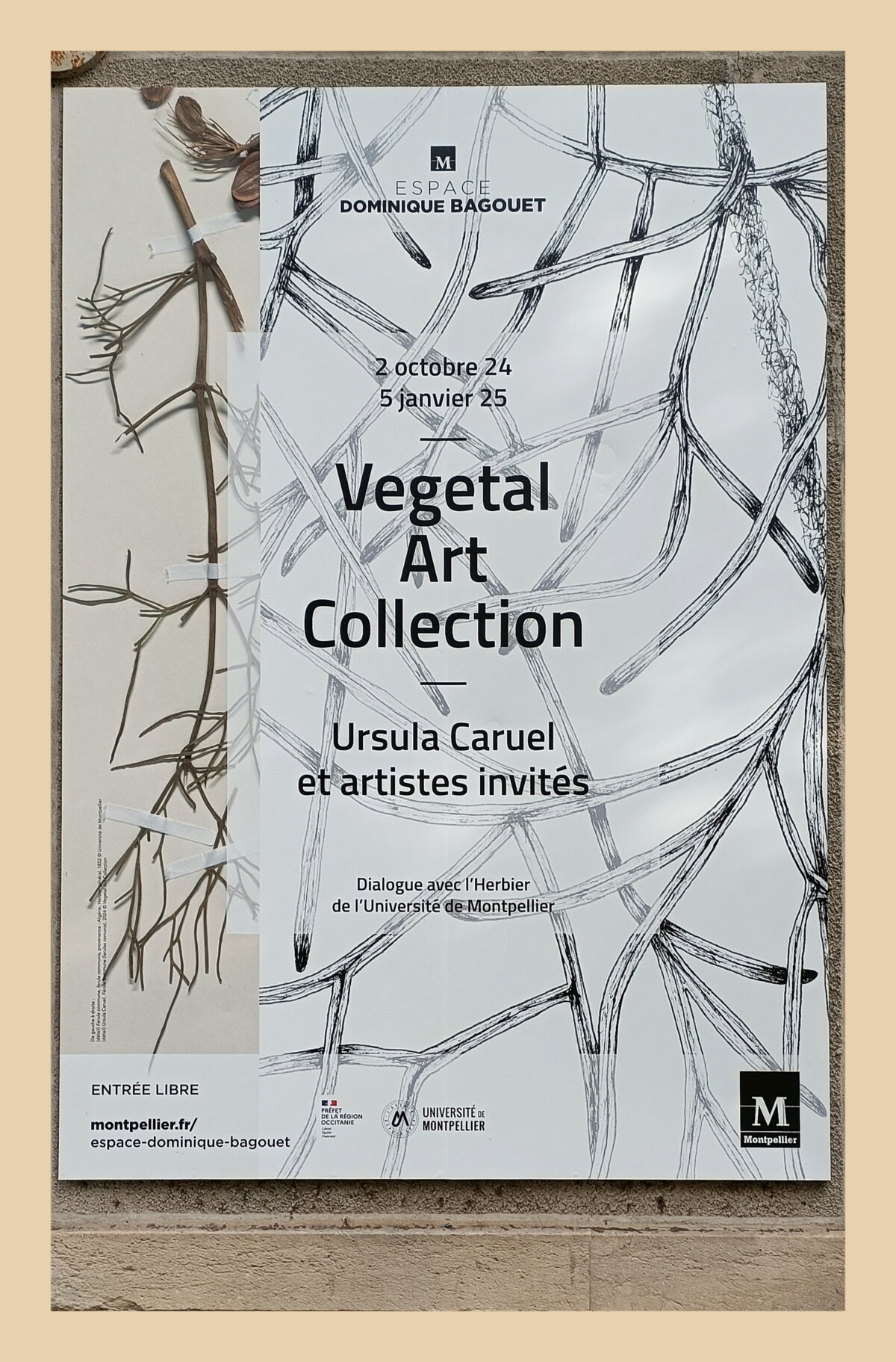 Illustration 1