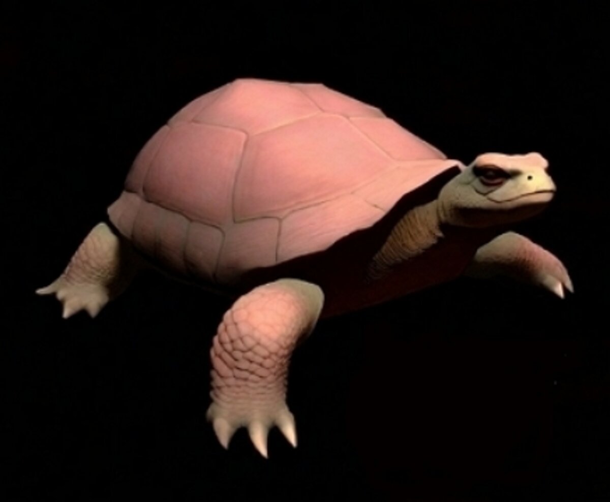 Illustration 1