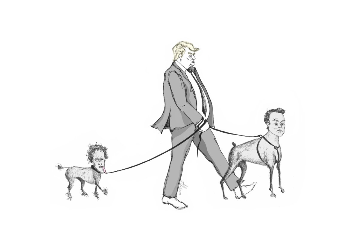 Illustration 1