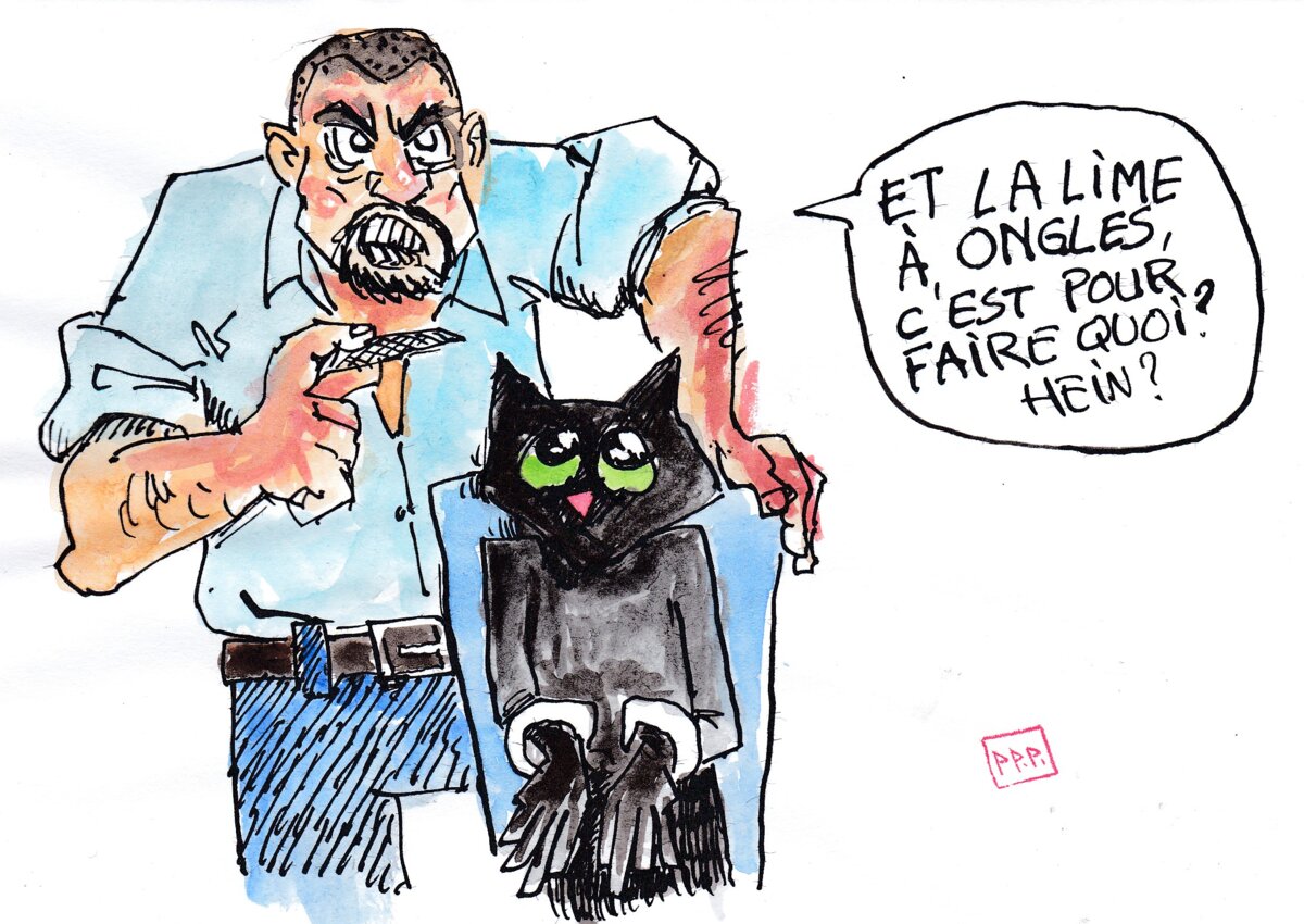 Illustration 1