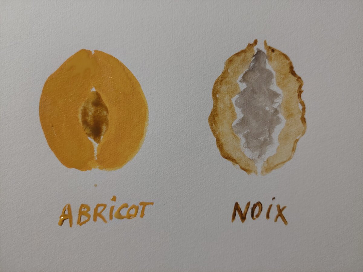 Illustration 1
