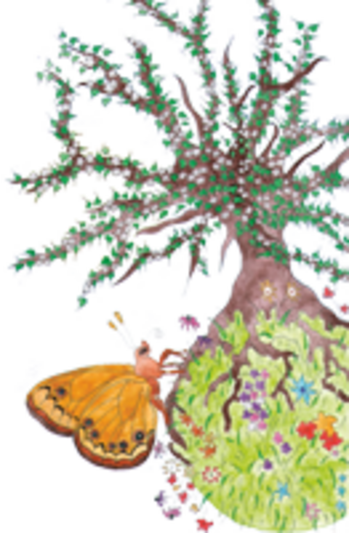 Illustration 1
