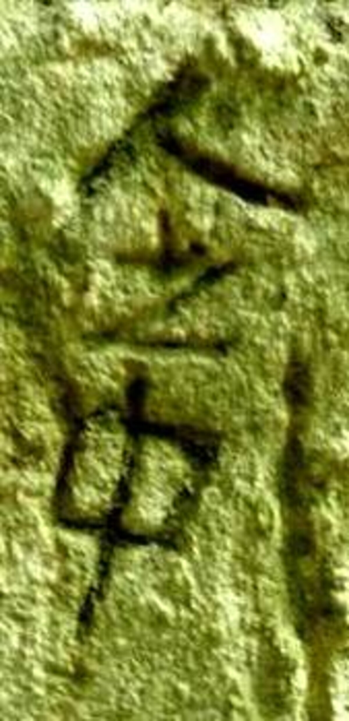 Illustration 1