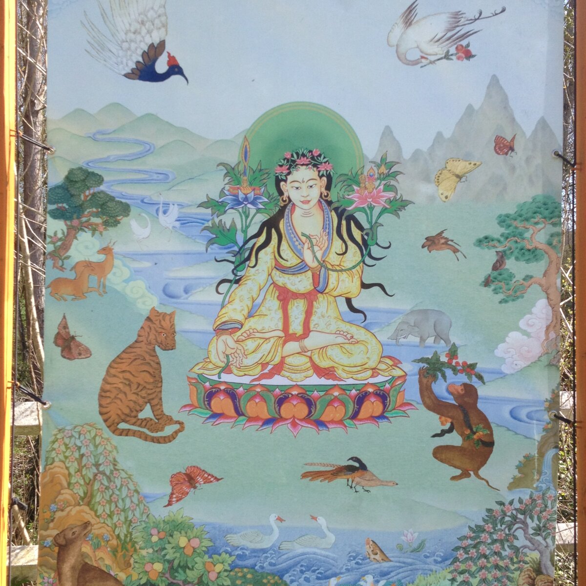 Illustration 1