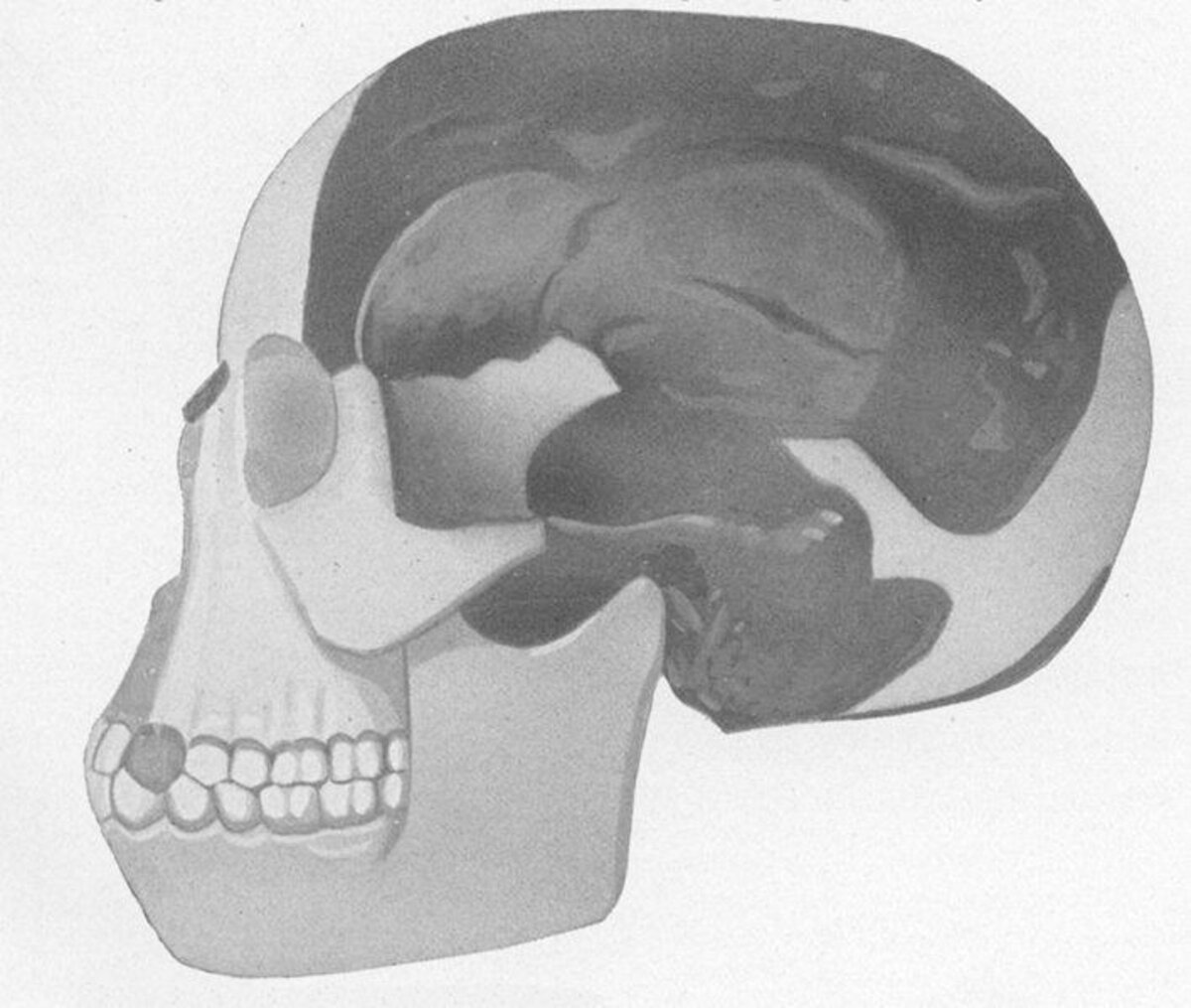 Illustration 1