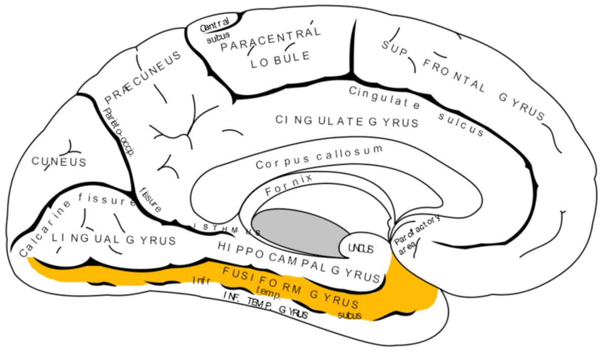Illustration 1
