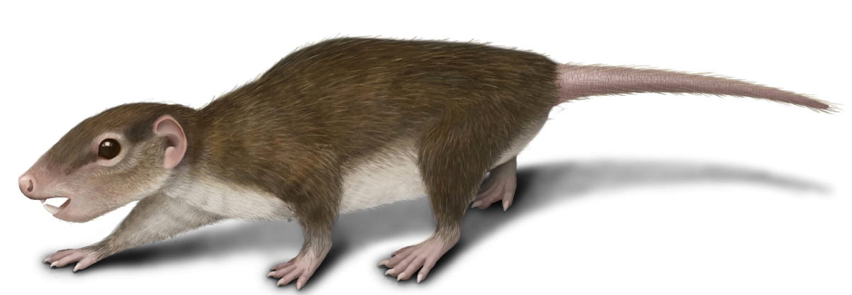 Illustration 1