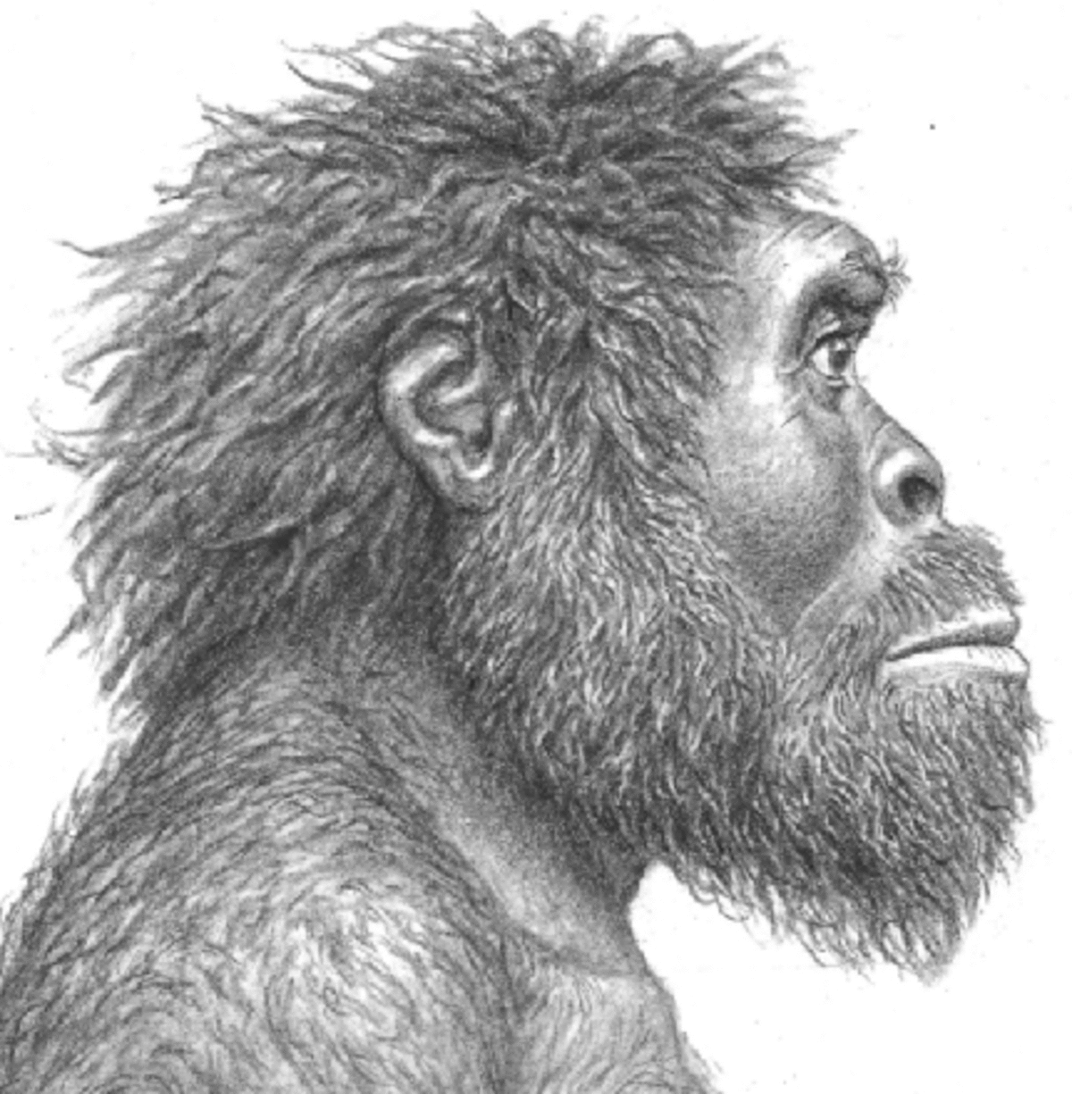 Illustration 1