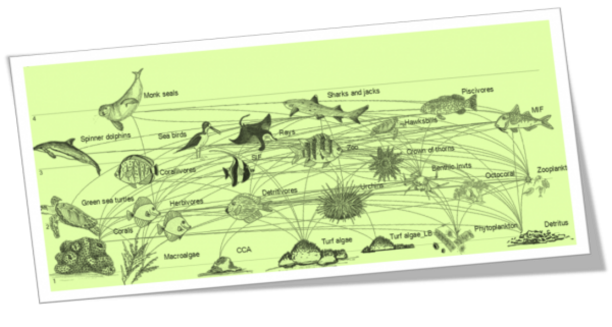 Illustration 1