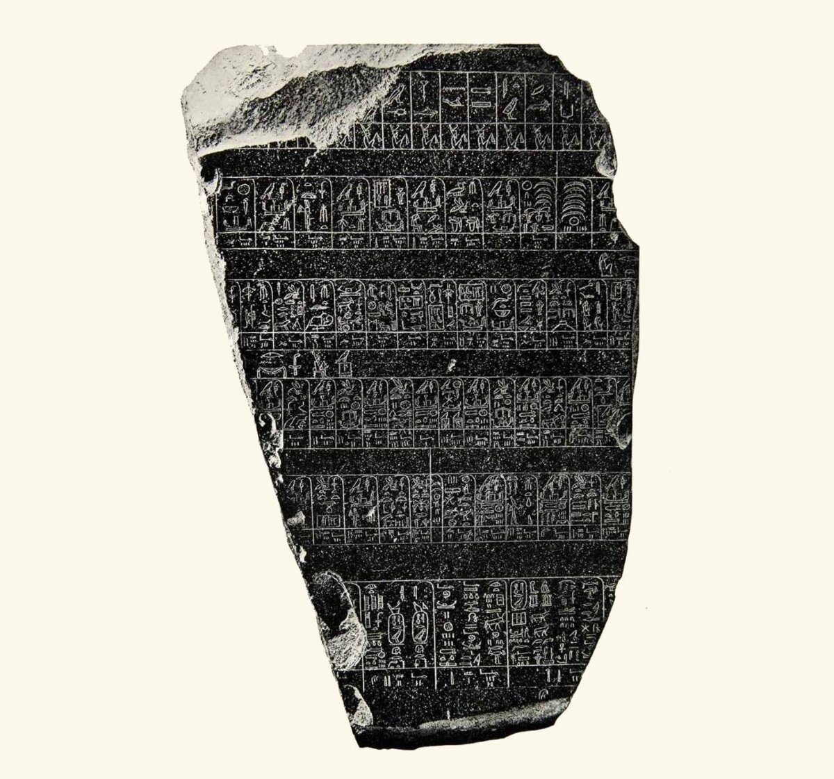 Illustration 1