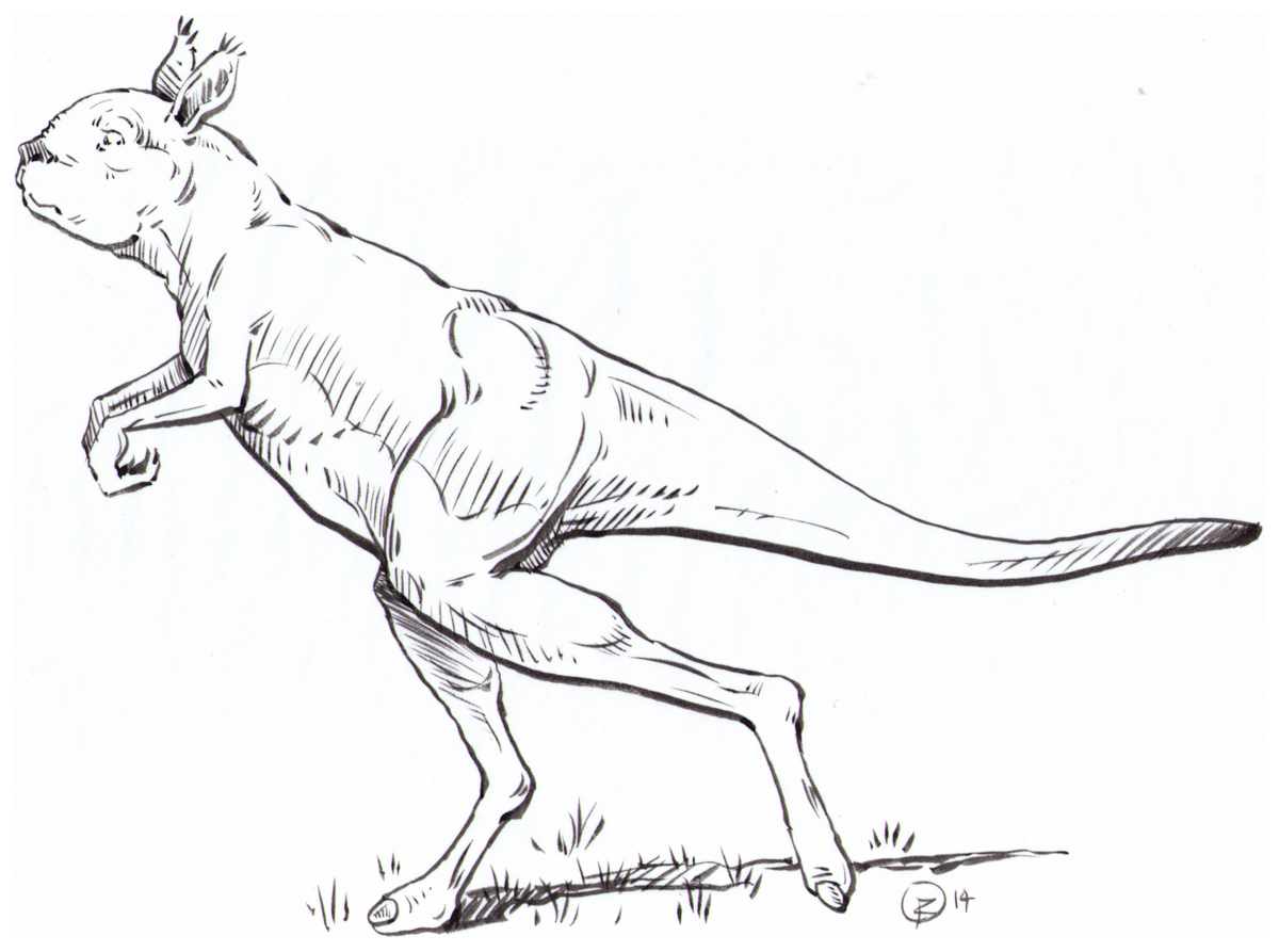 Illustration 1