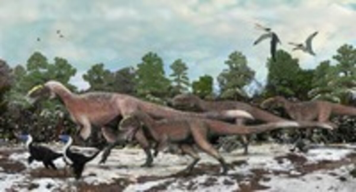 Illustration 1
