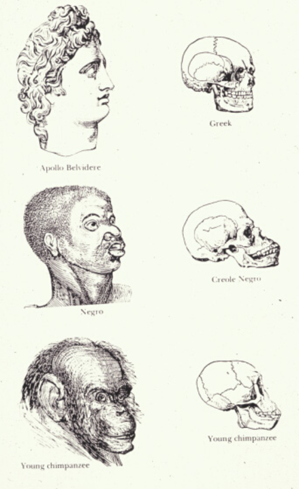 Illustration 1