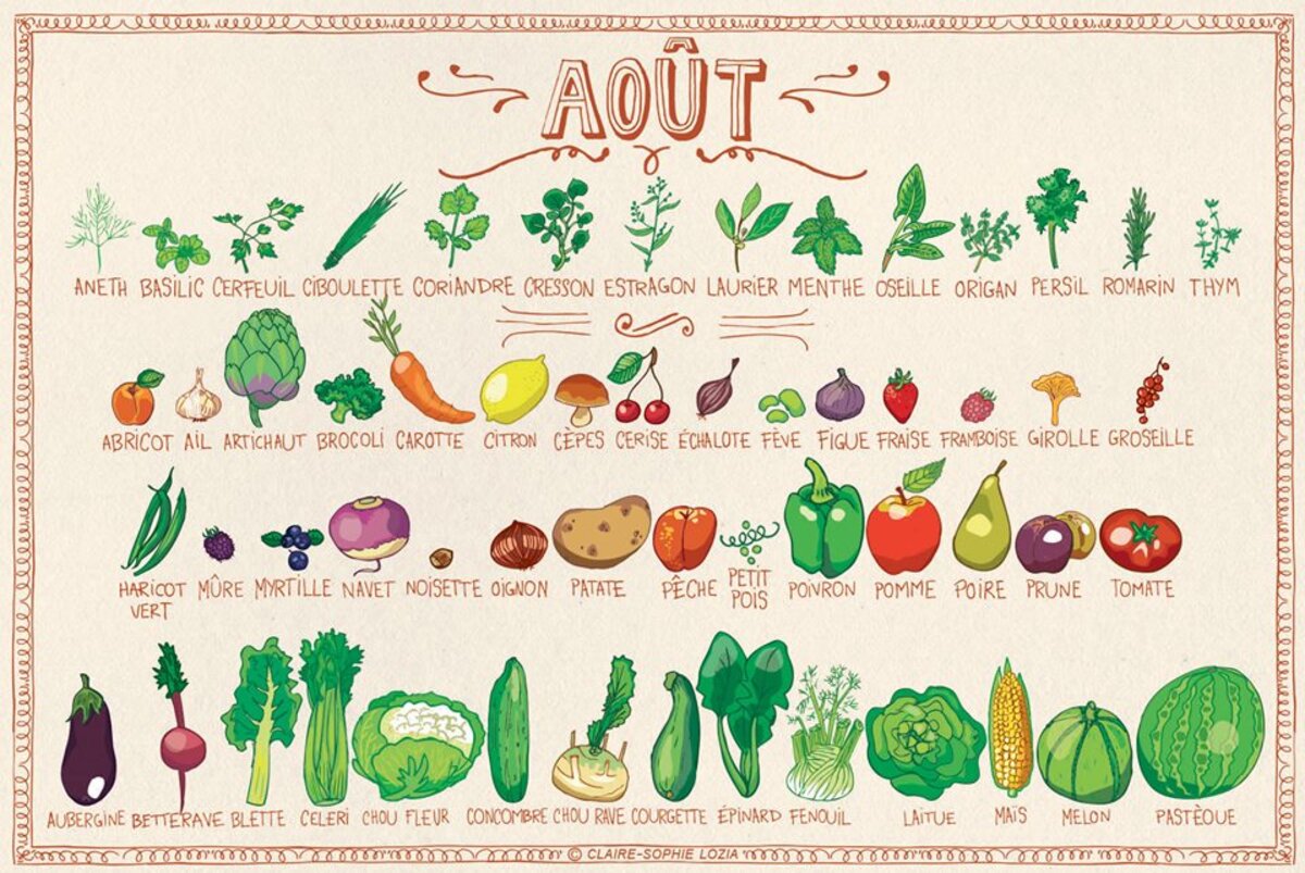 Illustration 1