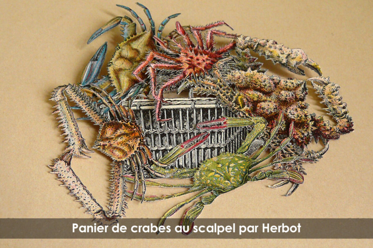 Illustration 1