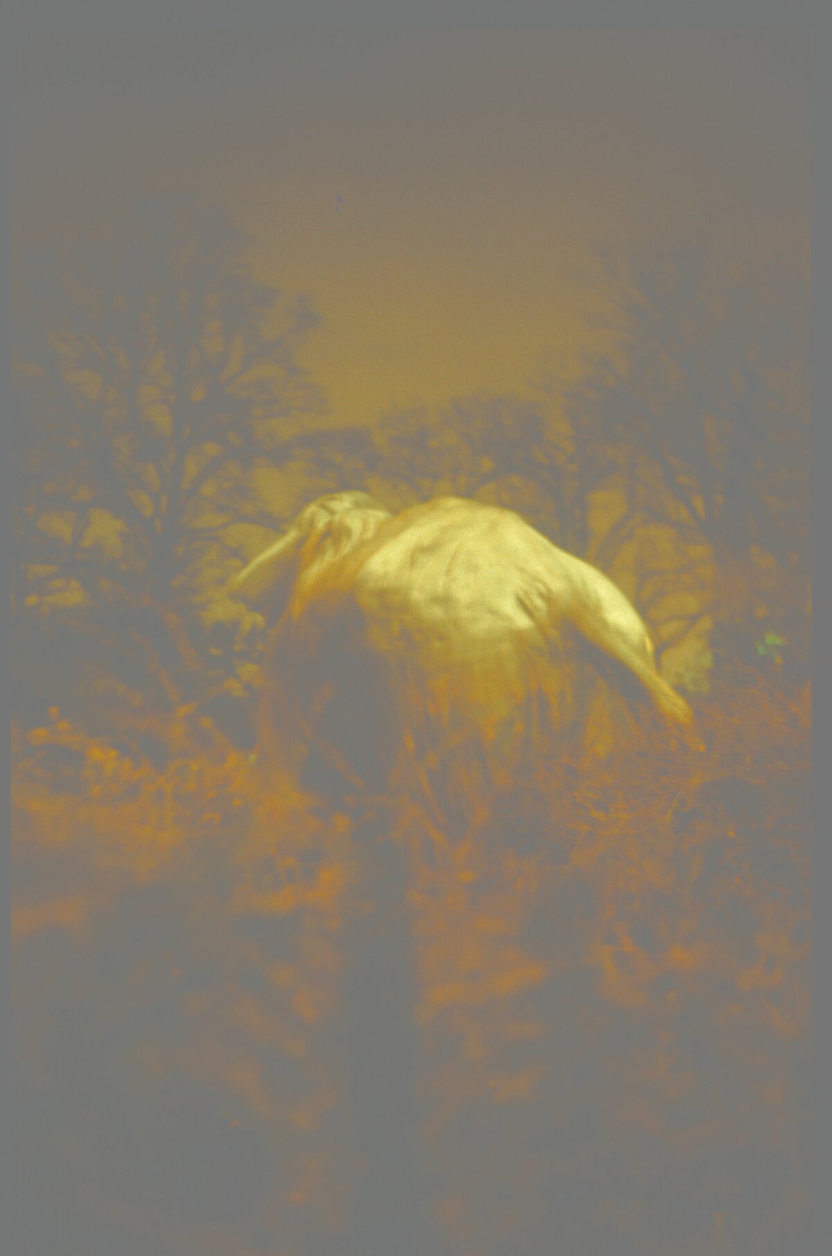 Illustration 1