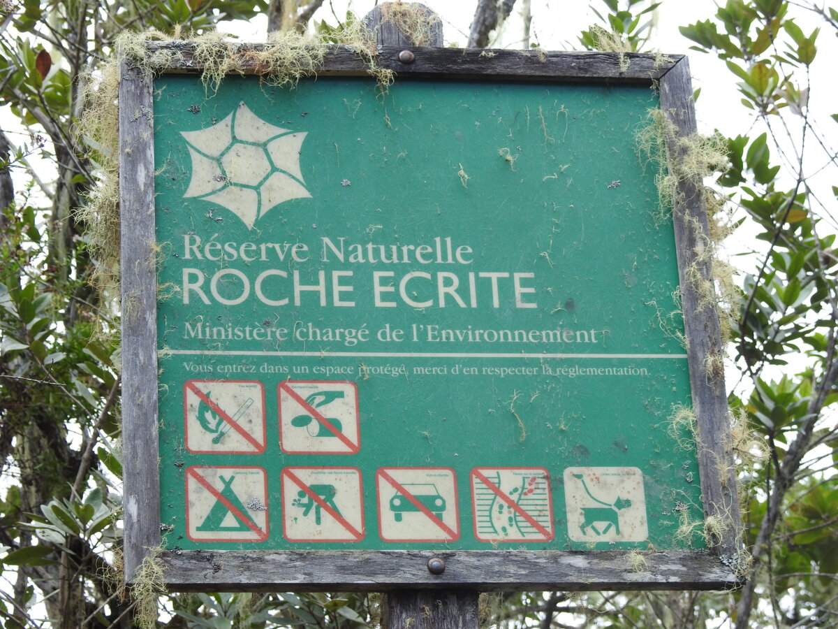 Illustration 1