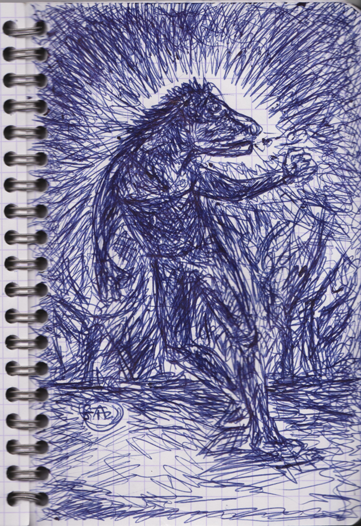 Illustration 1
